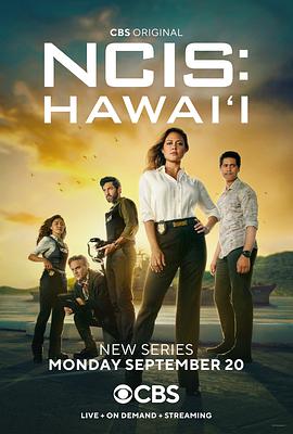 海军罪案调查处：夏威夷第一季 海报