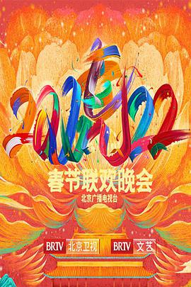 2022年北京卫视春节联欢晚会海报