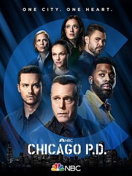 芝加哥警署 第九季 海报