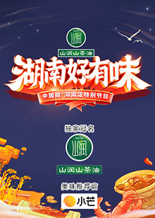 湖南好有味 中国粮·湖南饭特别节目海报