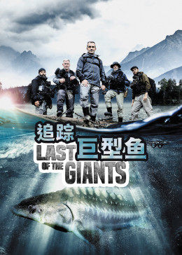 追踪巨型鱼 中文版 海报