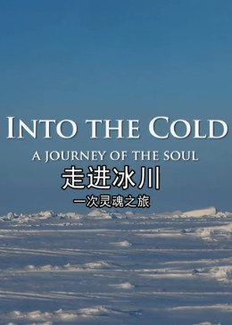 走进冰川：一次灵魂之旅 海报