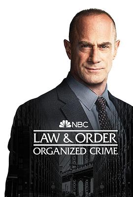 法律与秩序：组织犯罪 第三季 海报