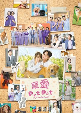 宠爱PetPet粤语 海报