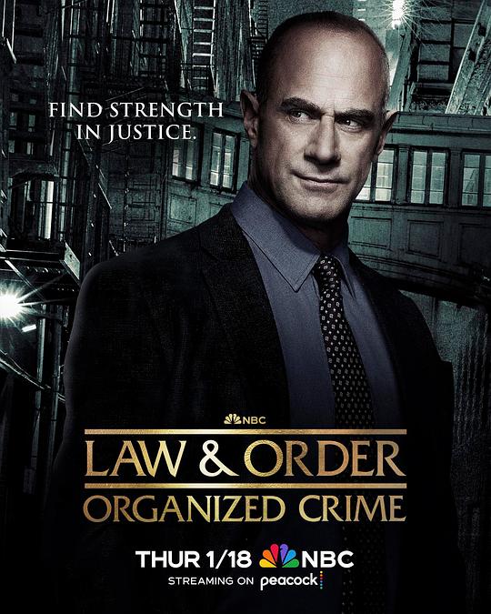 法律与秩序：组织犯罪 第四季海报